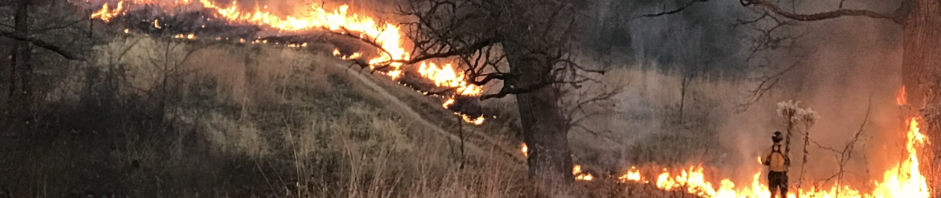 A firefighter standing next to fire on a hillside.